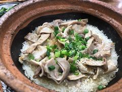 猪肚煲仔饭-红星光发煲仔饭(大石街店)