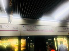 -东方体育中心(地铁站)