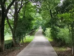 -湾里人家(旺山景区店)
