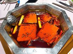 红锅底-蜀九香火锅(九眼桥店)