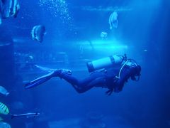 -太平洋海底世界