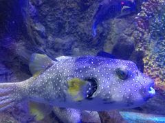 -太平洋海底世界