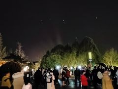 -大雁塔北广场音乐喷泉