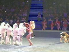 -珠海横琴长隆《卡卡虎奇遇记》