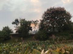 -月湖风景区