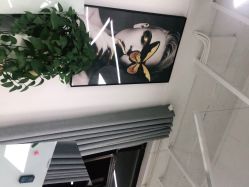 -蚂蚁造型沙龙