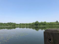 -溱湖国家湿地公园