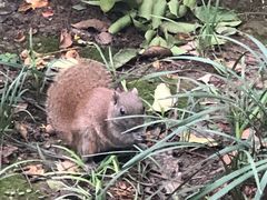 -徐家汇源景区-衡山公园