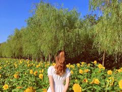 -艾溪湖湿地公园