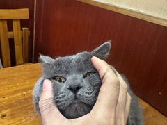 -老北京褡裢火烧·任记