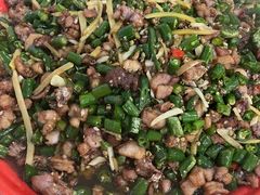 -东吴霸王兔(松青路店)