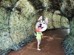 -北海金海湾红树林生态旅游区