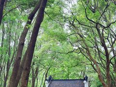 -东湖落雁景区