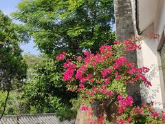 -广州神农草堂中医药博物馆