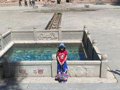 -金塔沙漠胡杨林景区