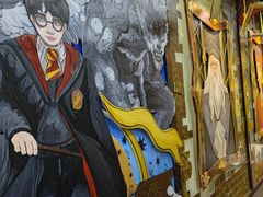 -杨梅红艺术教育(万象城校区)