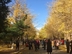 -辽宁大学(崇山校区)