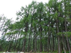 -硗碛藏寨·神木垒景区
