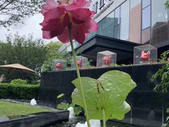 -浦江二号·独栋江景餐厅(滨江大道店)