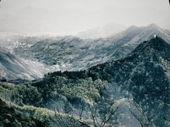 -天目山大树王景区