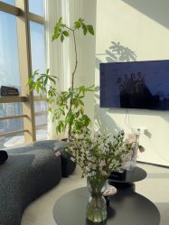 -JNK皮肤管理中心