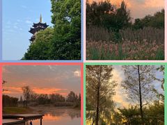 -洋湖国家湿地公园