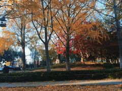 -泰州凤城河风景区-泰山公园