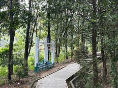 -火炉山森林公园