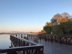 景点-鸽子窝公园