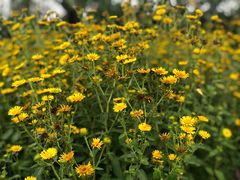 -永定河休闲森林公园