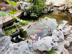 -道南書院·私房菜·早午茶·茶馆