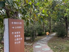-滴水岩森林公园