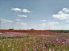 -六合国家地质公园桂子山景区