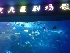 -多彩贵州城极地海洋世界