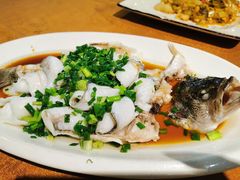 -沙田鸽王(解放路店)