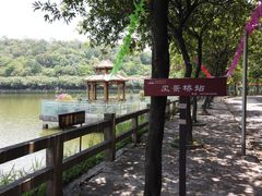 -李小龙乐园(顺德均安店)