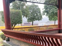 -顺峰山公园