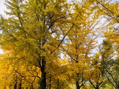 -野鸭湖国家湿地公园