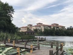 -艾溪湖湿地公园