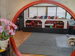 -温鉴良实用咏春拳