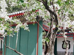 -宫事颐庭·老佛爷贵寿下午茶(颐和园店)