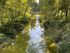 -黄海国家森林公园