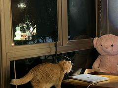 -咖法森林·咖啡  酒吧(天河店)