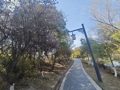 -八大山人梅湖景区