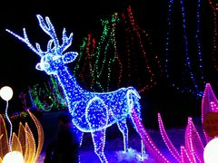 -长春公园(普阳街道)