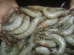 -欢乐牧场海鲜烤肉自助(牡丹园店)