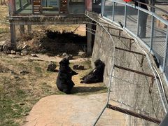 -无锡动物园·太湖欢乐园