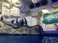 -华夏文旅海洋公园