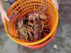 -无锡天鹏食品城