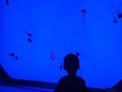 -沈阳海洋探索中心